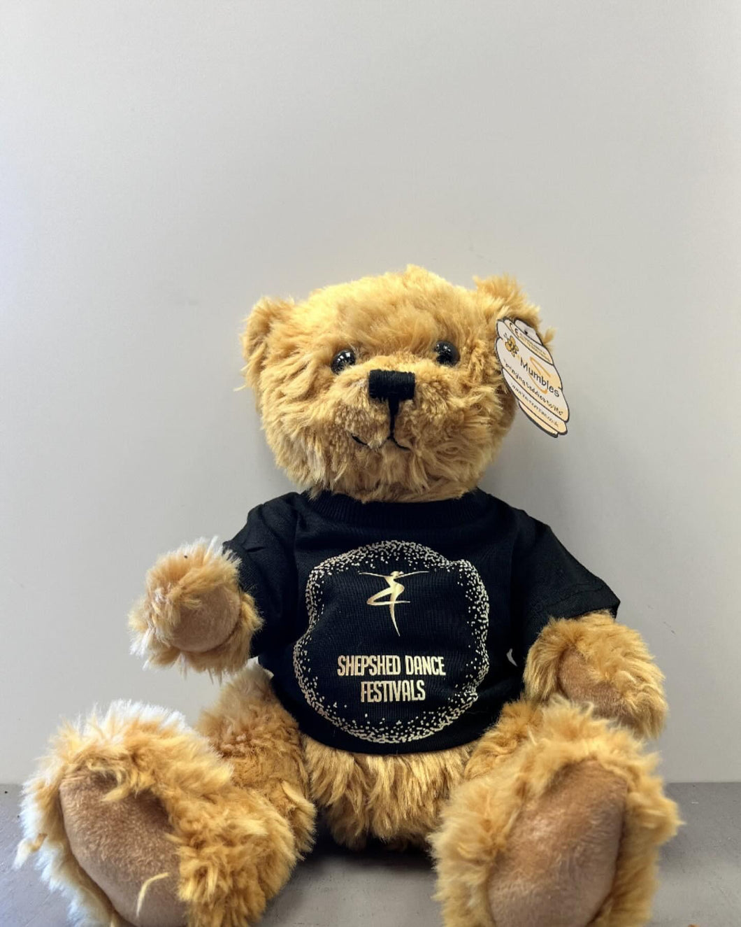 Bear with Shepshed Dance Festival TShirt